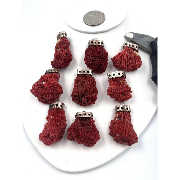 COPY - Natural Red Pipe Coral Pendant 925 Starling Silver Cape Buyer Will Get 1… - Picture 3 of 9